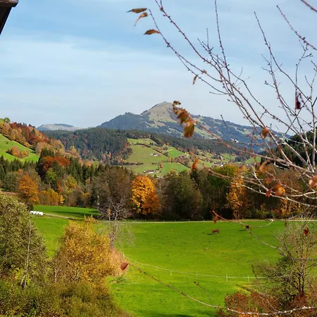 بيت للعطل Blueberry Haus Im Moos